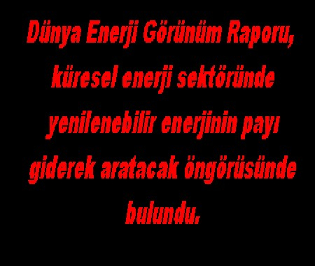 DÜNYA ENERJİ GÖRÜNÜM RAPORU