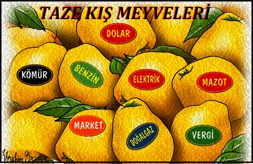 TAZE KIŞ MEYVELERİ