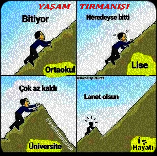 YAŞAM TIRMANIŞI