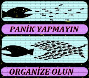 PANİK YAPMAYIN ORGANİZE OLUN