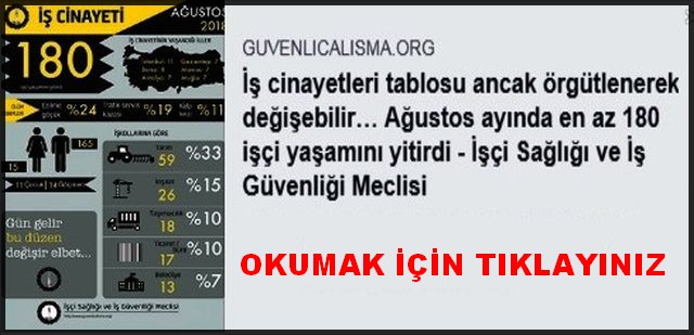 İŞ CİNAYETLERİ TABLOSU ANCAK ÖRGÜTLENEREK DEĞİŞEBİLİR