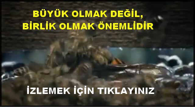 BÜYÜK OLMAK DEĞİL BİRLİK OLMAK ÖNEMLİ