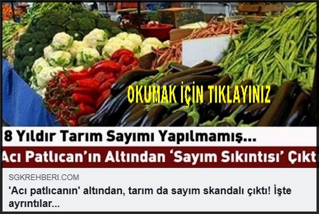 19 YILDIR TARIM SAYIMI YAPILMAMIŞ