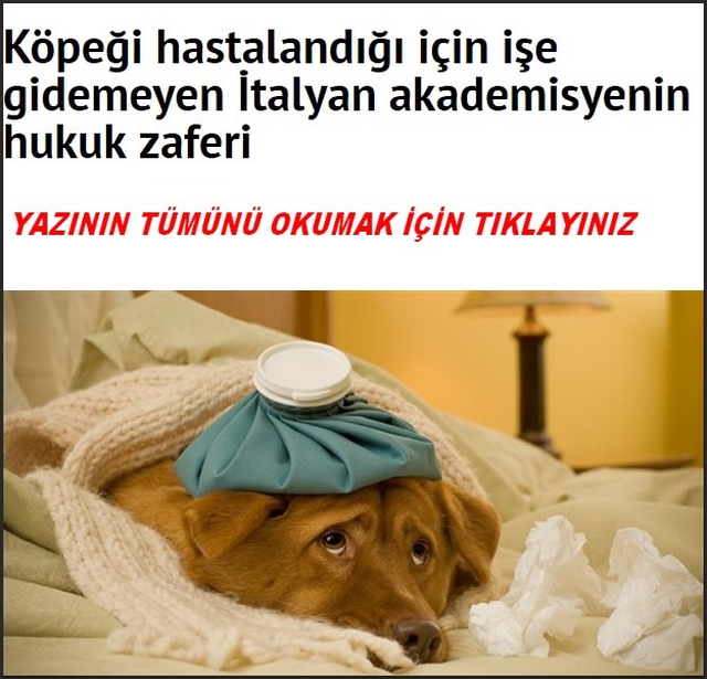 KÖPEĞİ HASTALANAN İTALYAN AKEDEMİSYEN