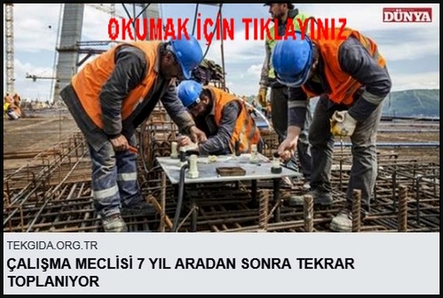 ÇALIŞMA MECLİSİ 