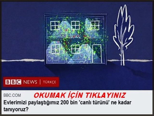 EVLERİMİZİ 200 BİN CANLI İLE PAYLAŞIYORUZ