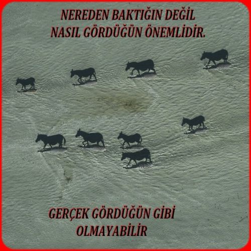 NERDEN BAKTIĞIN DEĞİL