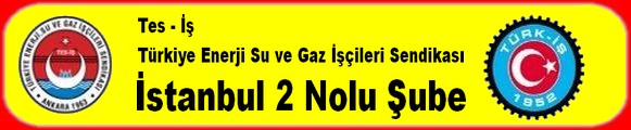 İSTANBUL 2 NOLU ŞUBE -2-