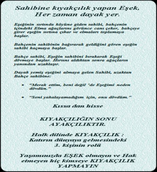 kıyakçı eşek